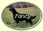 ButtonOvalFancy2 ButtonOvalFancy2
