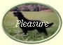 ButtonOvalPleasure2 ButtonOvalPleasure2