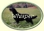 ButtonOvalWhisper2 ButtonOvalWhisper2