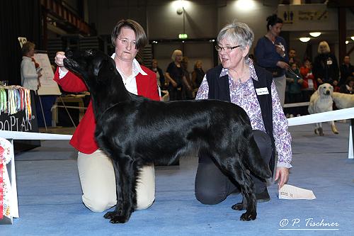 DoryCACIBChmenitz2014 DoryCACIBChmenitz2014