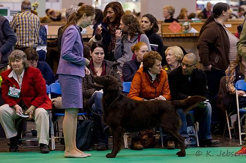 FJackCrufts2013steh