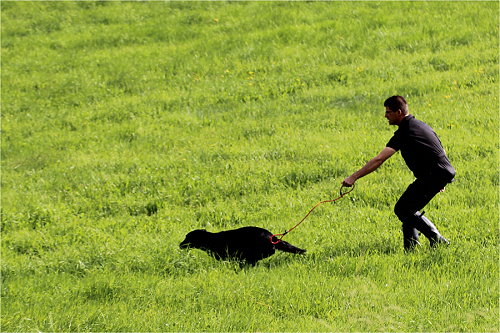 KFryda2017Jagdtraining KFryda2017Jagdtraining