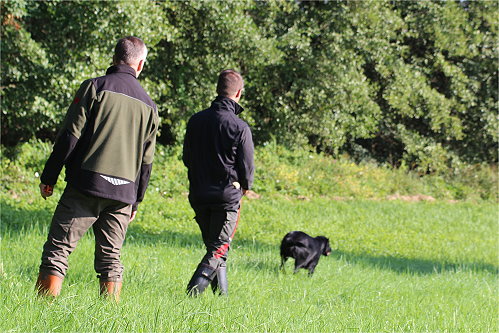 KFryda2017Jagdtraining2 KFryda2017Jagdtraining2
