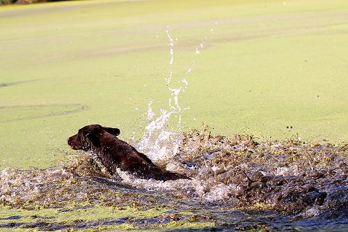 Leelou201609JPR2 Leelou201609JPR2