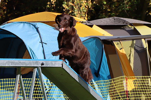 Leelou20241026AgiRhueden3 Leelou20241026AgiRhueden3