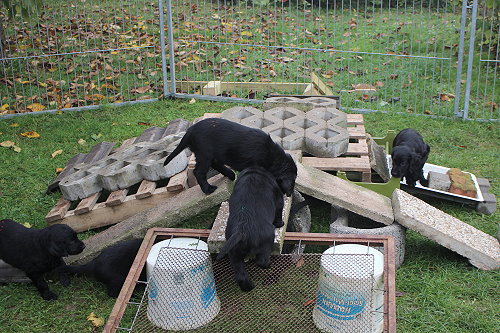 MKlettergarten12 MKlettergarten12