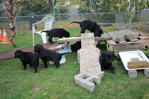 MKlettergarten13 MKlettergarten13