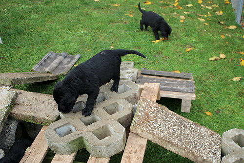 MKlettergarten8 MKlettergarten8