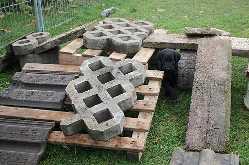 MKlettergarten9 MKlettergarten9