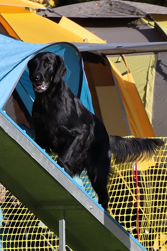 Mabel20241026AgiRhueden1 Mabel20241026AgiRhueden1