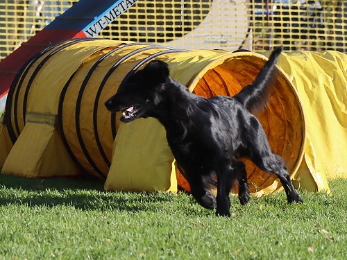 Mabel20241026AgiRhueden2 Mabel20241026AgiRhueden2