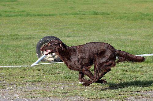 WWDummyseminar202003Lilly2 WWDummyseminar202003Lilly2