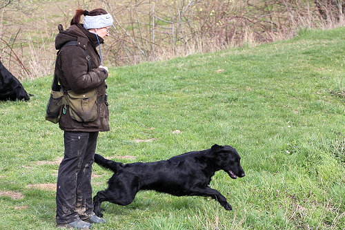 WWDummyseminar202003Mabel1 WWDummyseminar202003Mabel1