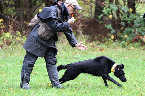 WWFreddySeminar2013Dirk1