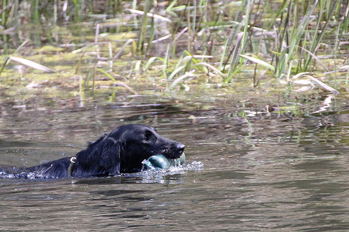 WWWasserseminar201904Hanna