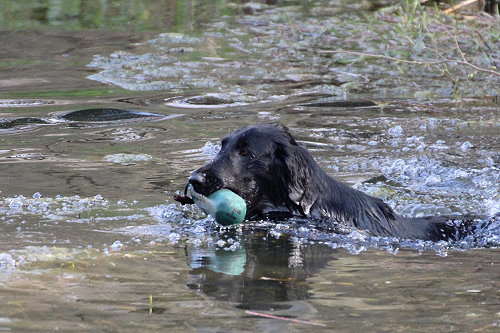 WWWasserseminar201904Kiss WWWasserseminar201904Kiss