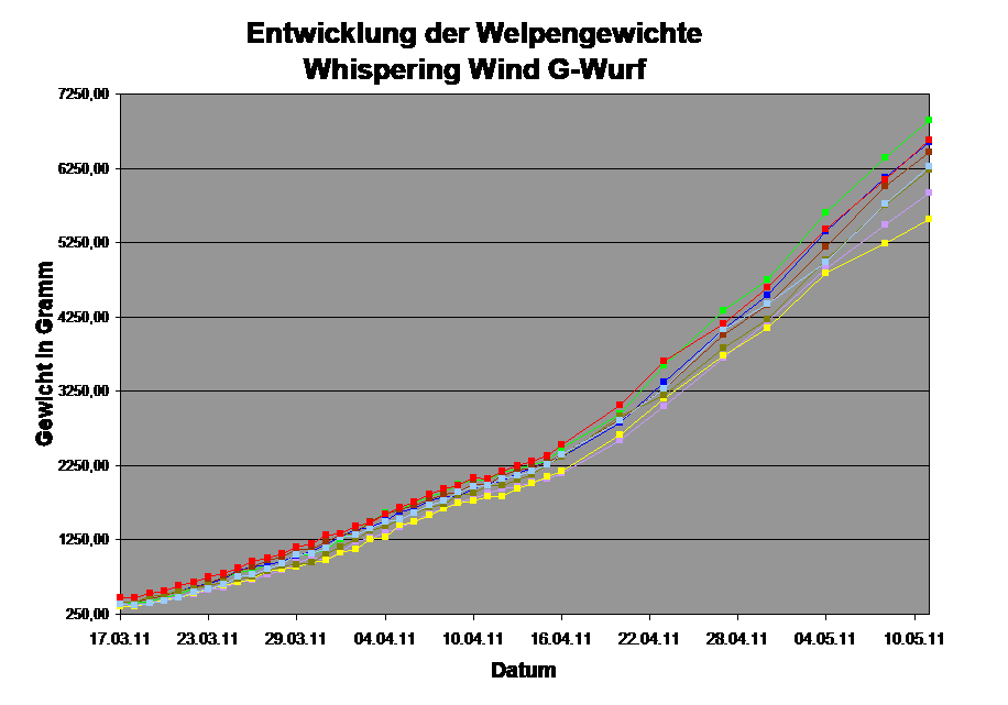 Entwicklung der Welpengewichte
Whispering Wind G-Wurf