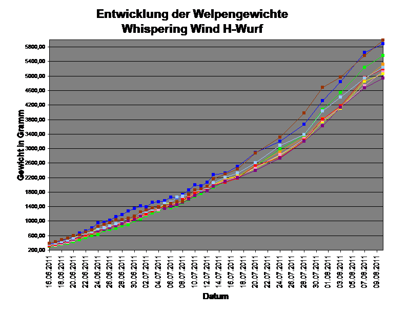 Entwicklung der Welpengewichte
Whispering Wind H-Wurf