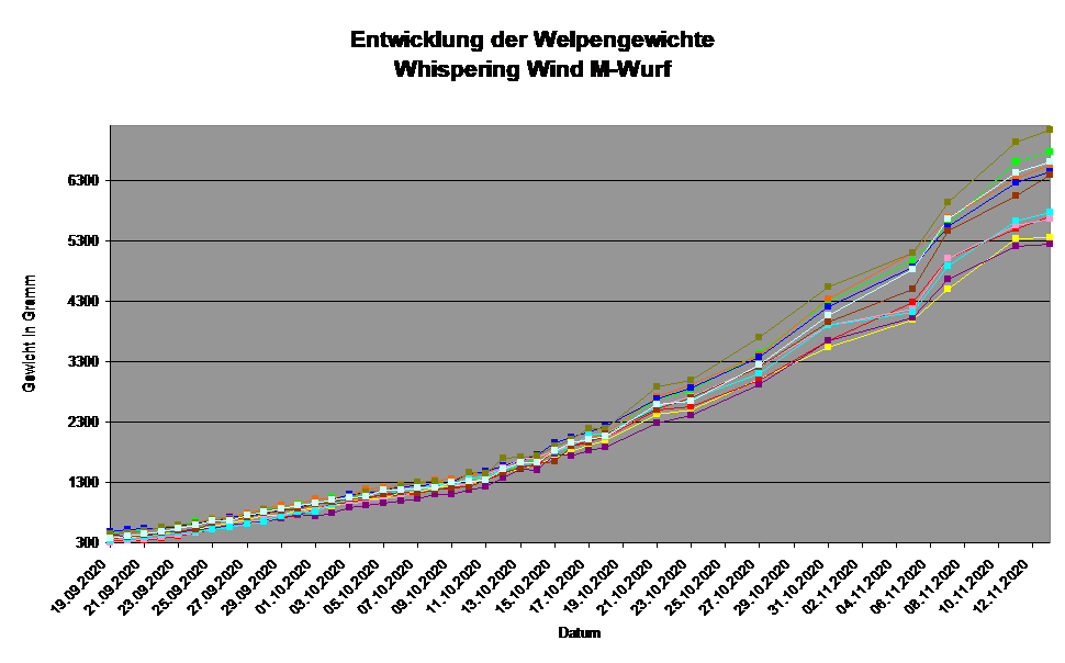 Entwicklung der Welpengewichte
Whispering Wind M-Wurf