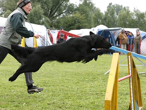 WhisperSchoenstedt0609Huerde3mittel