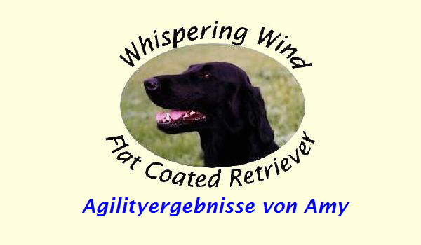 Agilityergebnisse von Amy