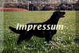 Impressum