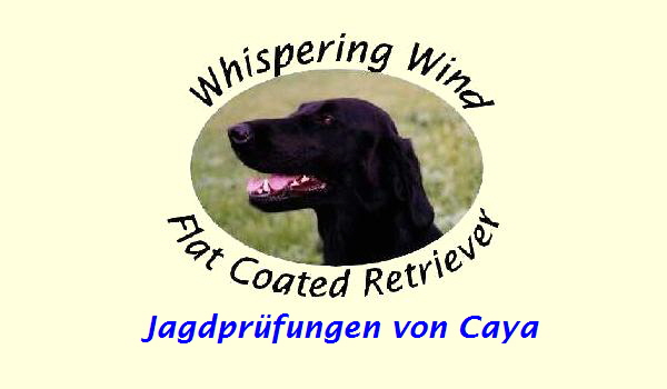 Jagdprfungen von Caya