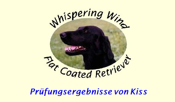 Prfungsergebnisse von Kiss