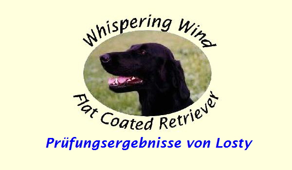 Prfungsergebnisse von Losty