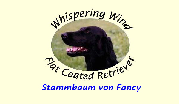 Stammbaum von Fancy