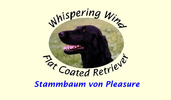 Stammbaum von Pleasure