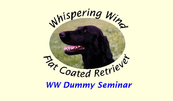 WW Dummy Seminar