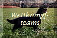 Wettkampf-
teams