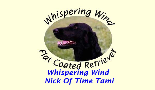 Whispering Wind 
Nick Of Time Tami