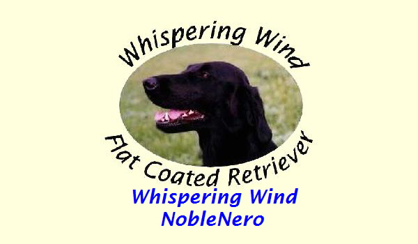 Whispering Wind
NobleNero