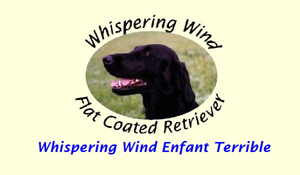 Whispering Wind Enfant Terrible