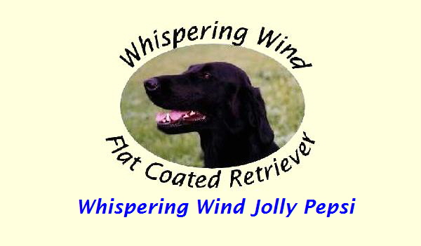 Whispering Wind Jolly Pepsi