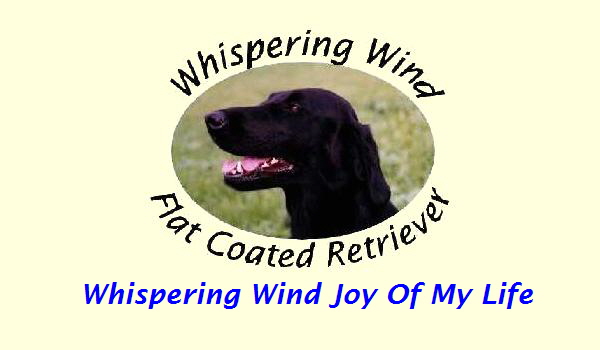 Whispering Wind Joy Of My Life