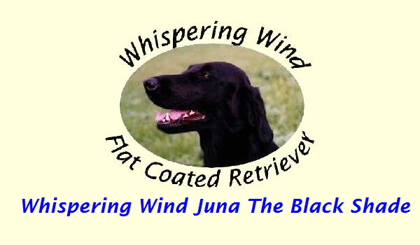 Whispering Wind Juna The Black Shade