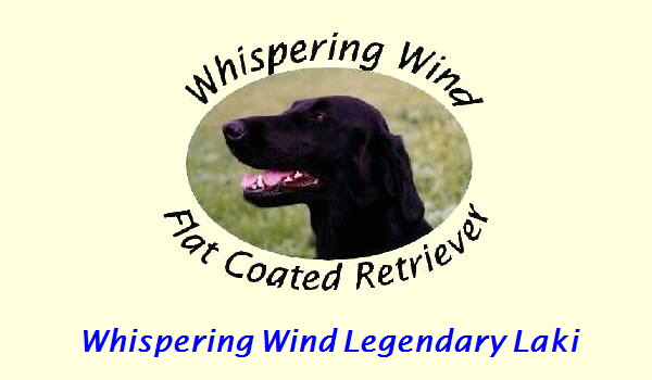Whispering Wind Legendary Laki