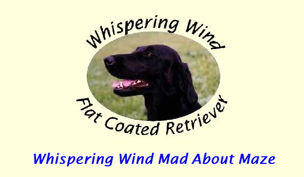 Whispering Wind Mad About Maze