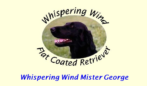 Whispering Wind Mister George